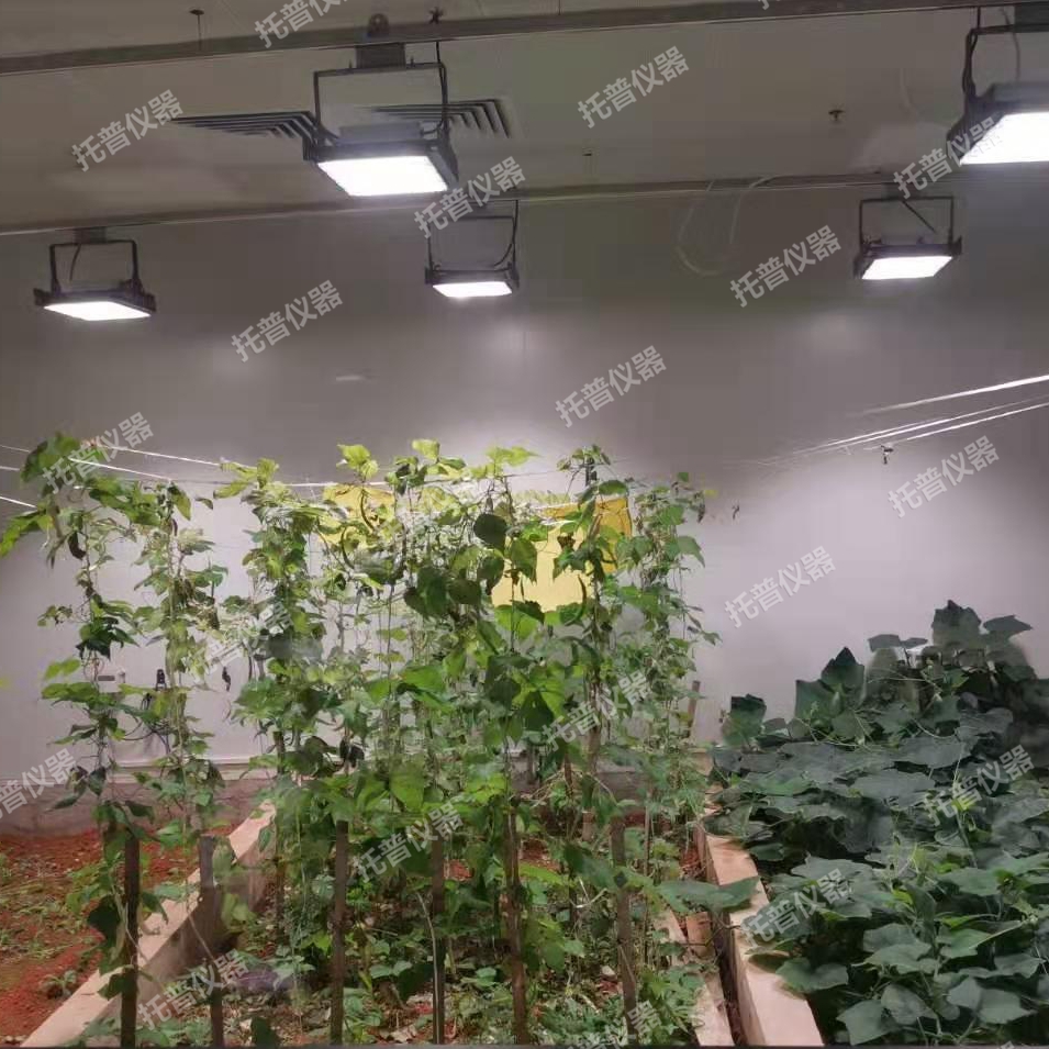 植物生长室